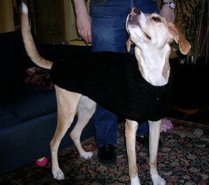 Duchess' black sweater