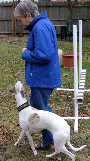 Greta doing obedience training with me