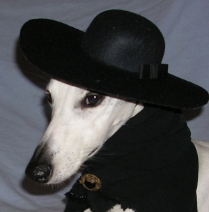 Greta Garbo, whippet, dressed as Greta Garbo, actress