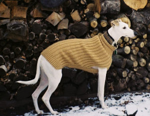 Greta's knitted sweaters:
tan
